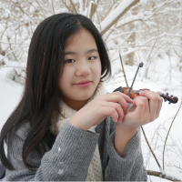 2024-2025-cms-prep-winner-charis-shing girl in winter background playing mini-violin