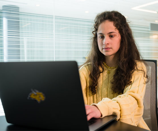 A webster student working on their laptop.