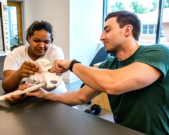 Students examine hip joint on bone models