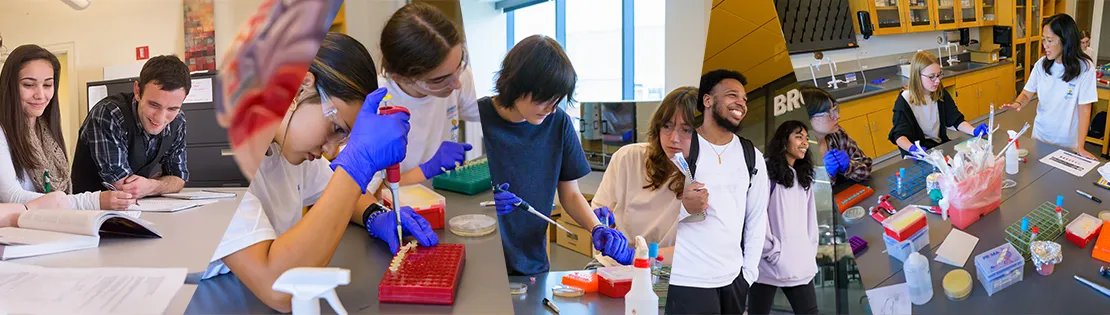 Students in classroom and lab settings looking at brain models, using scientific lab equipment together.